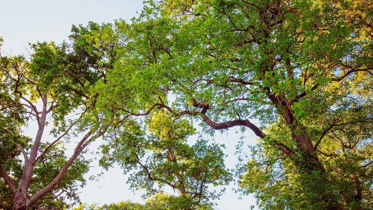 Photo of Outdoor in Seissan