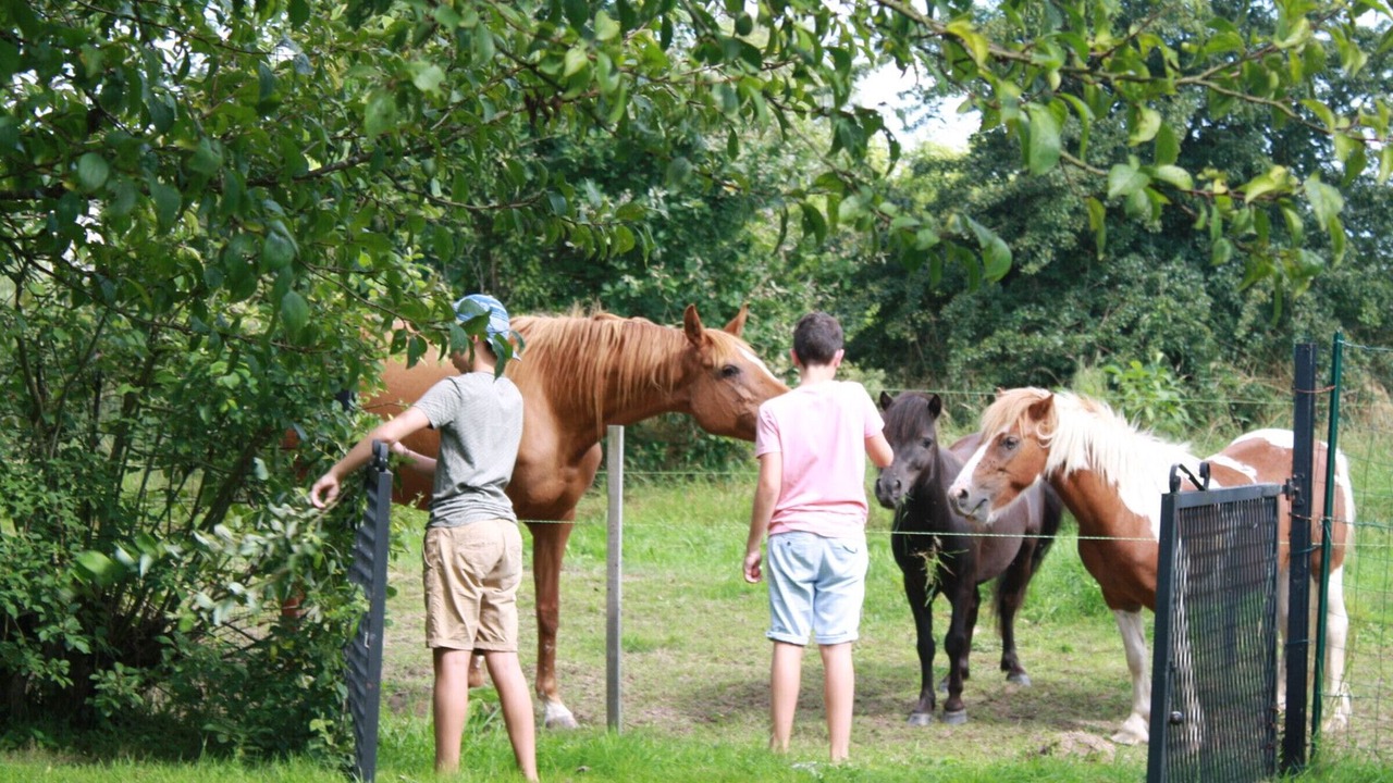 Photo of Others in Benamenil