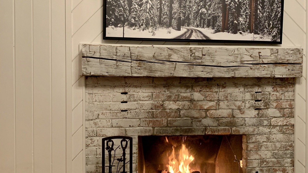 Photo of Others in East Dorset