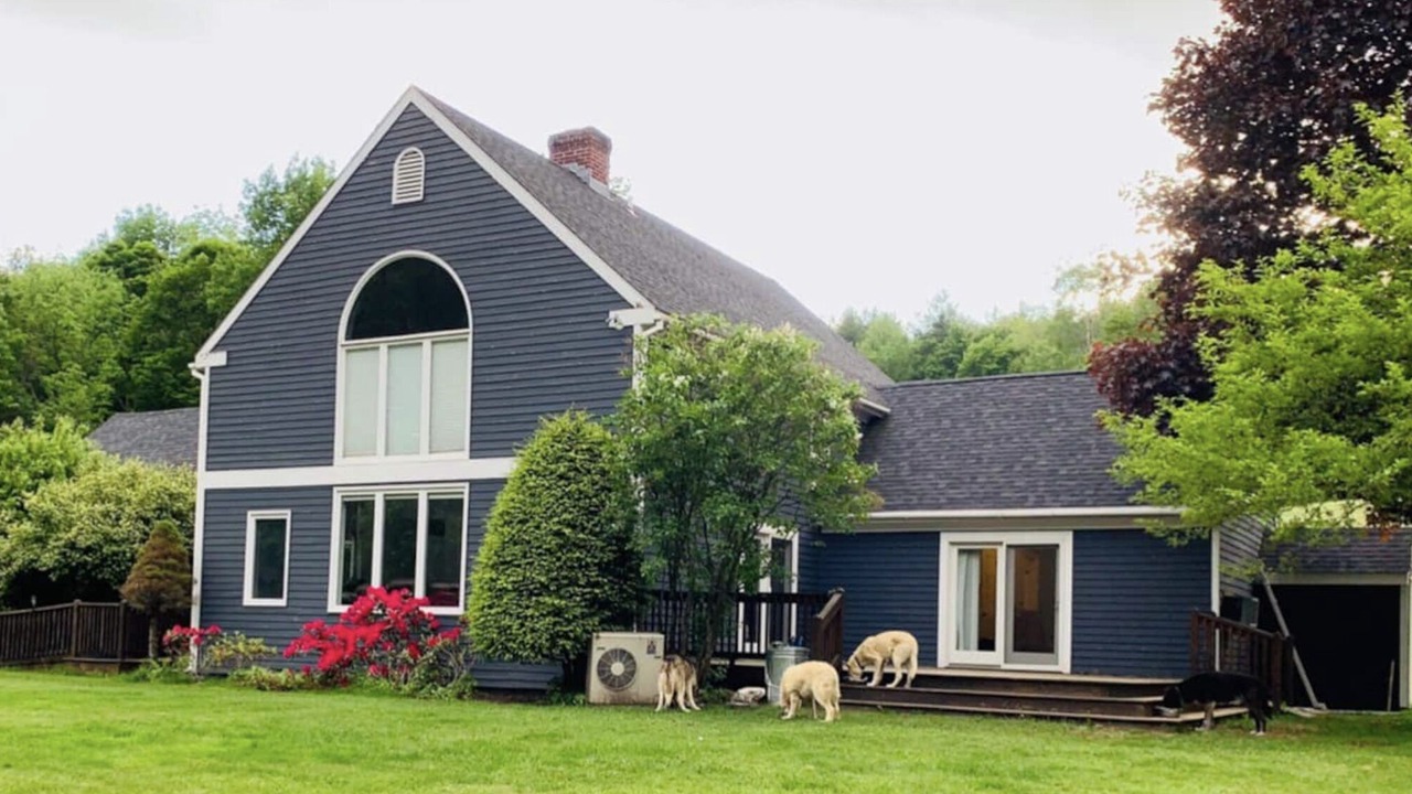 Photo of Outdoor in East Dorset