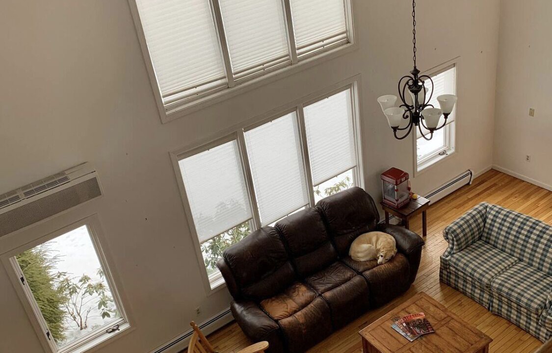 Photo of Others in East Dorset