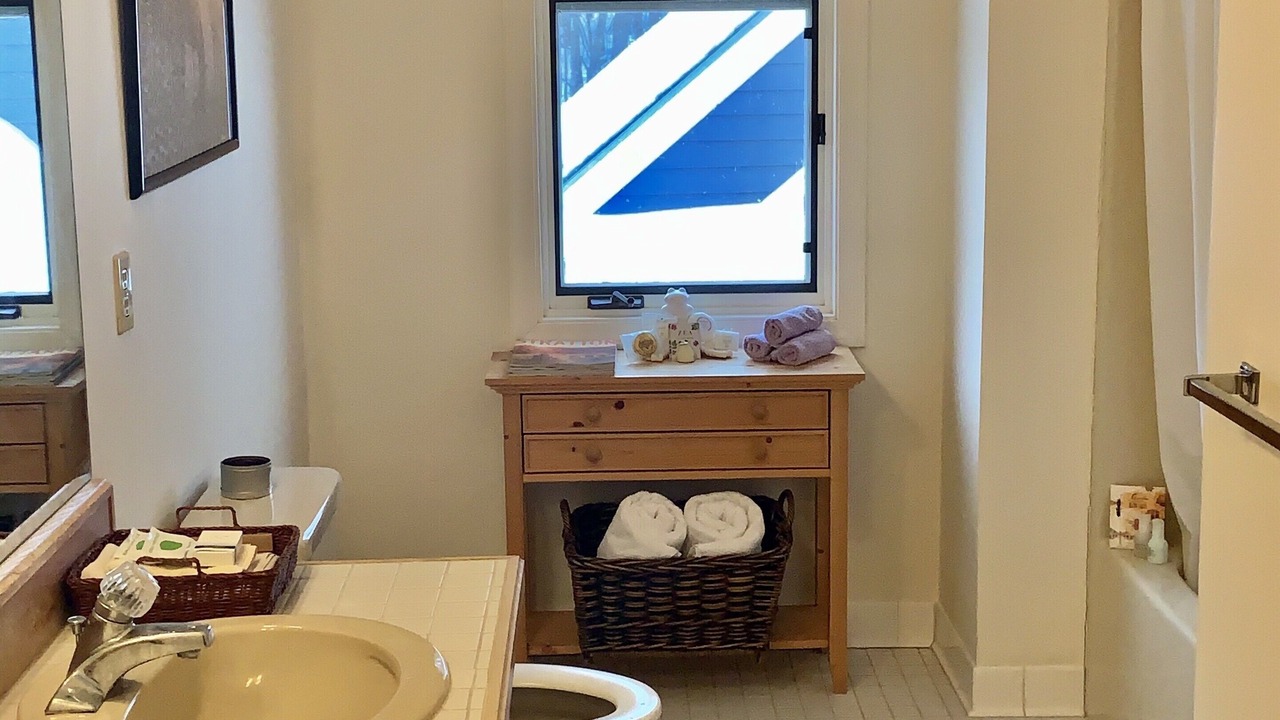 Photo of Others in East Dorset