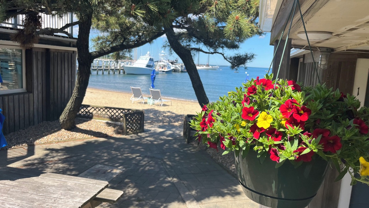 Photo of Outdoor in Vineyard Haven