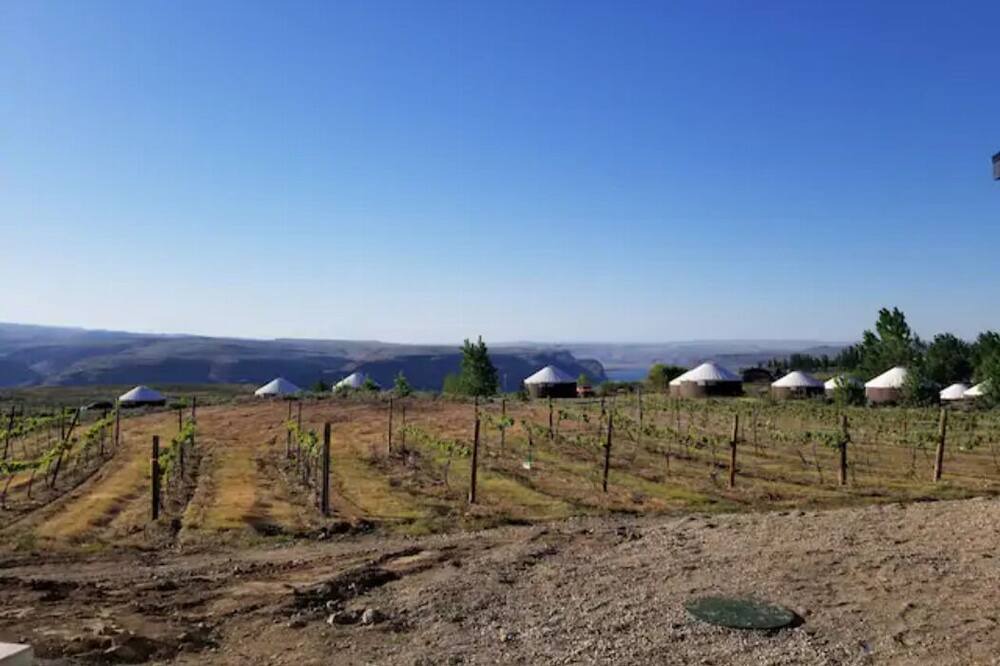 Photo of Others in Quincy