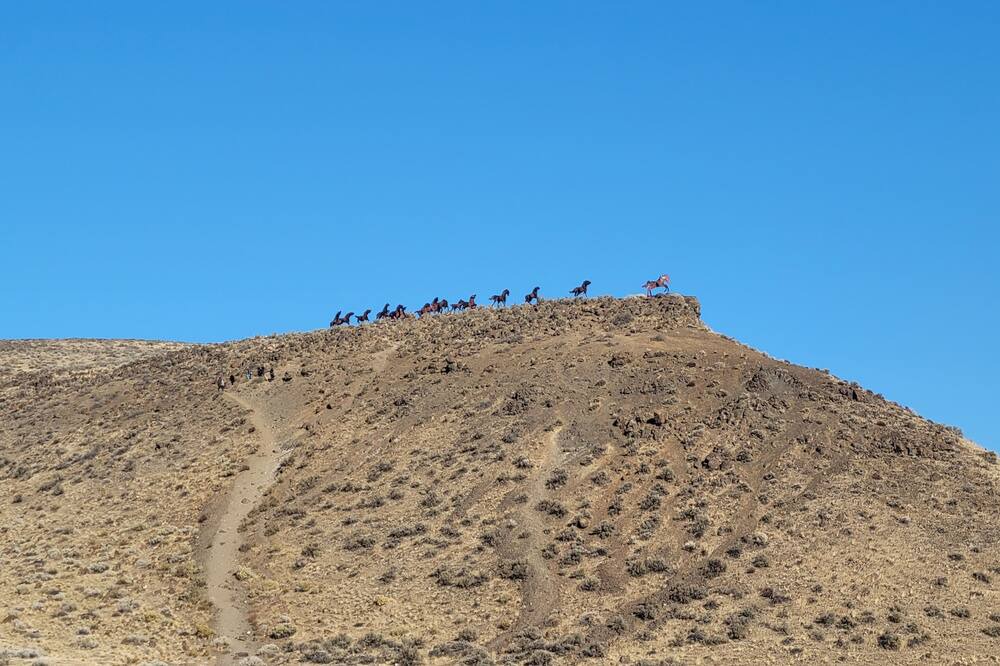 Photo of Others in Quincy