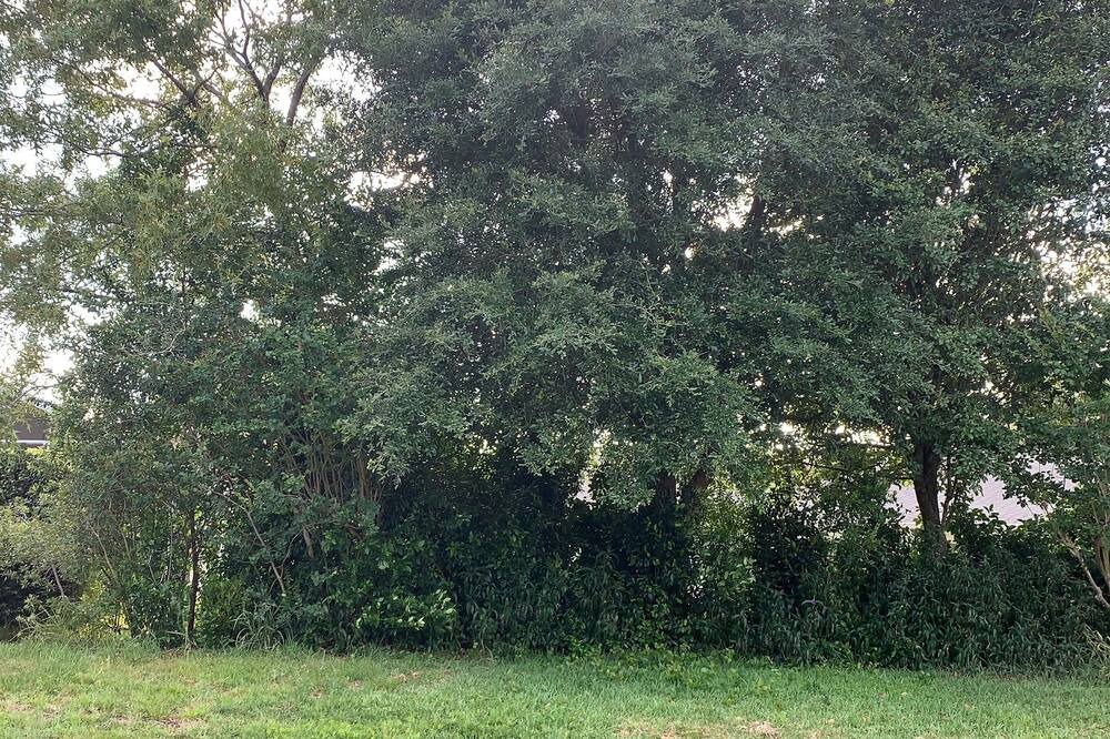 Photo of Others in Ocala