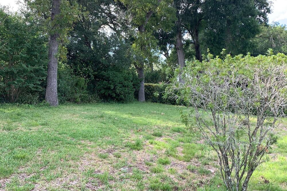 Photo of Others in Ocala