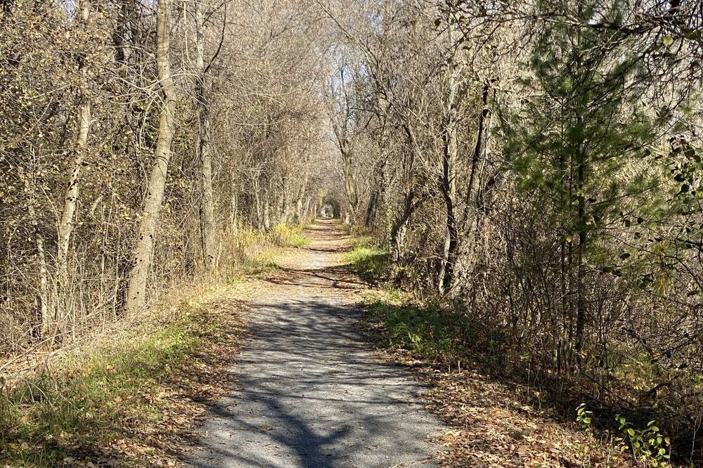 Photo of Outdoor in Quinte West