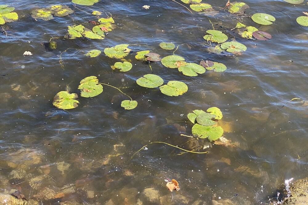 Photo of Others in Quinte West