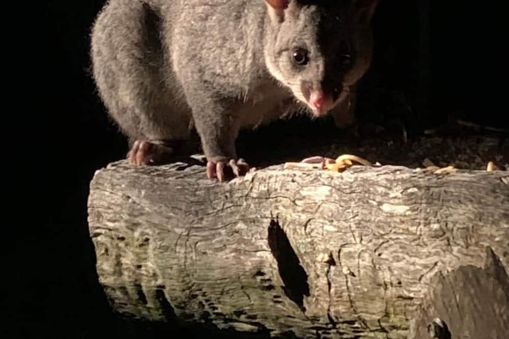 Photo of Others in Vacy