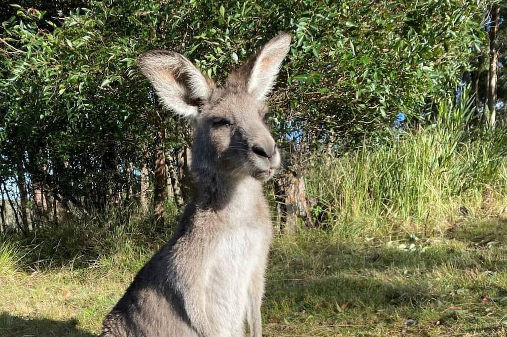 Photo of Others in Vacy