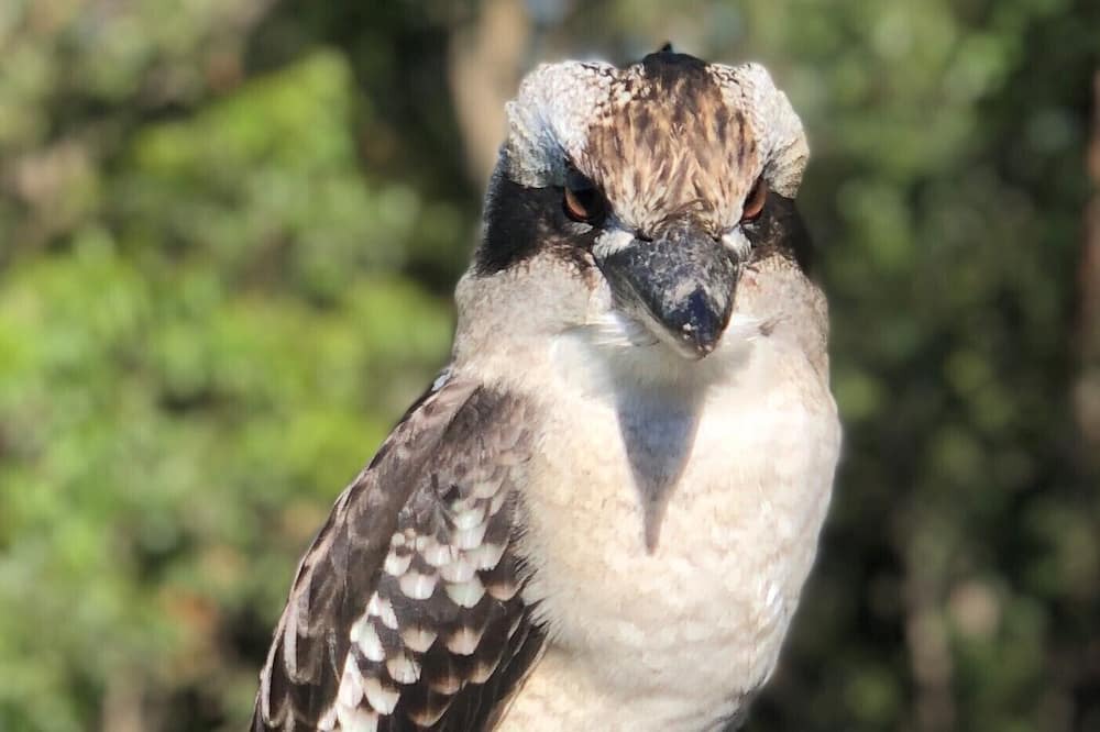 Photo of Others in Vacy