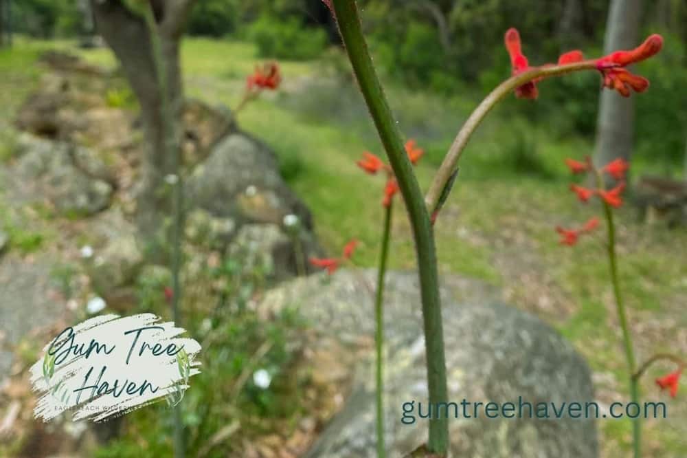 Photo of Others in Vacy