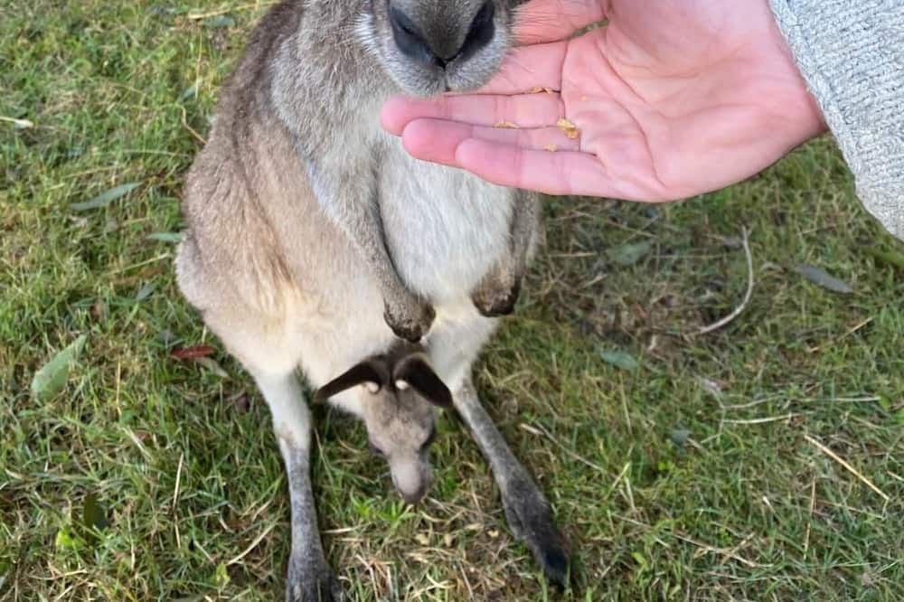 Photo of Others in Vacy