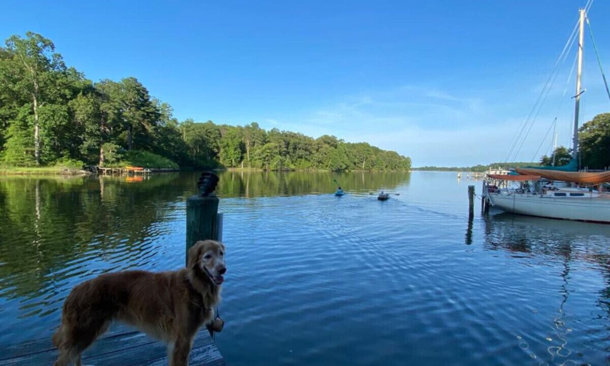 Photo of Others in Kinsale