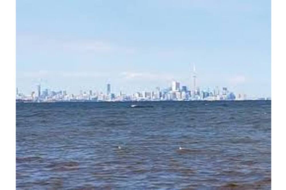 Photo of Others in Downtown Mississauga