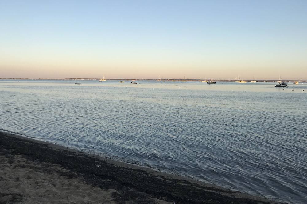 Photo of Others in West Dennis