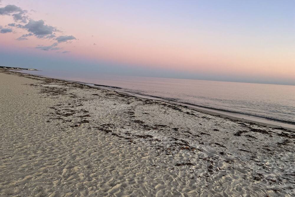 Photo of Others in West Dennis