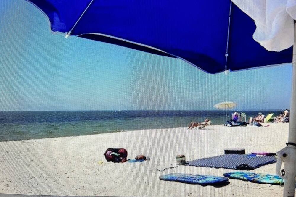 Photo of Others in West Dennis