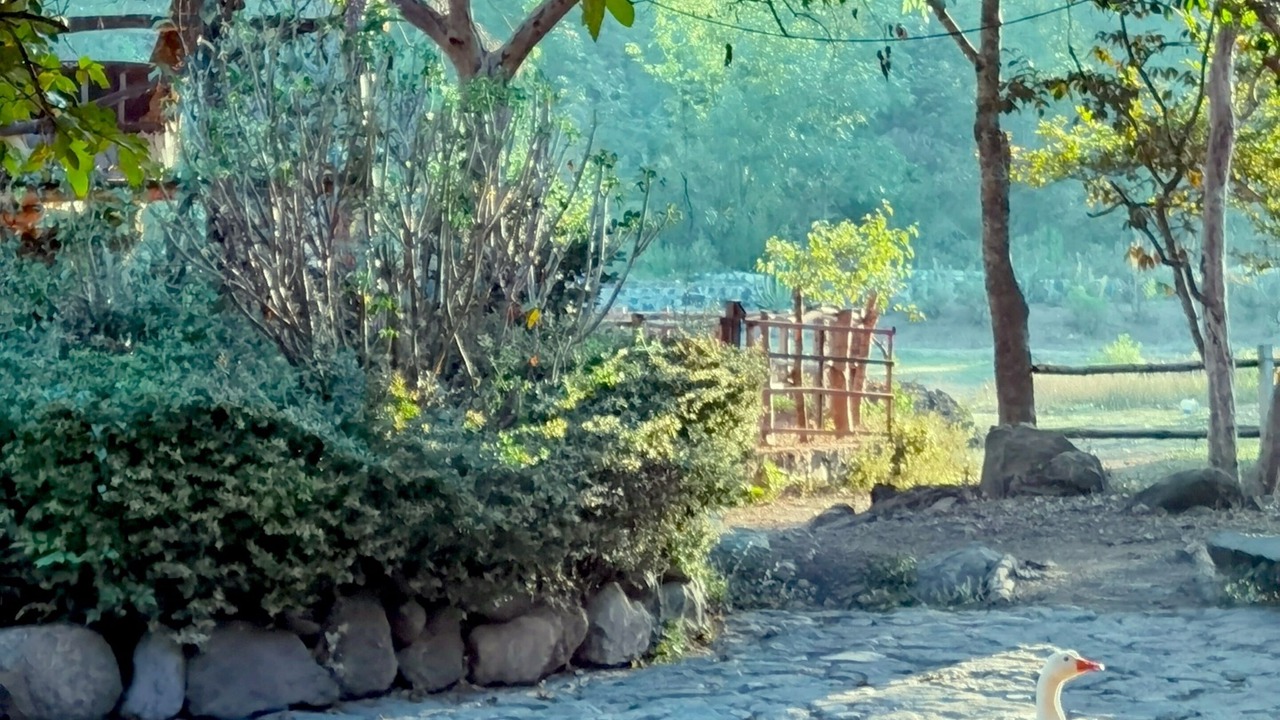Photo of Outdoor in El Santuario