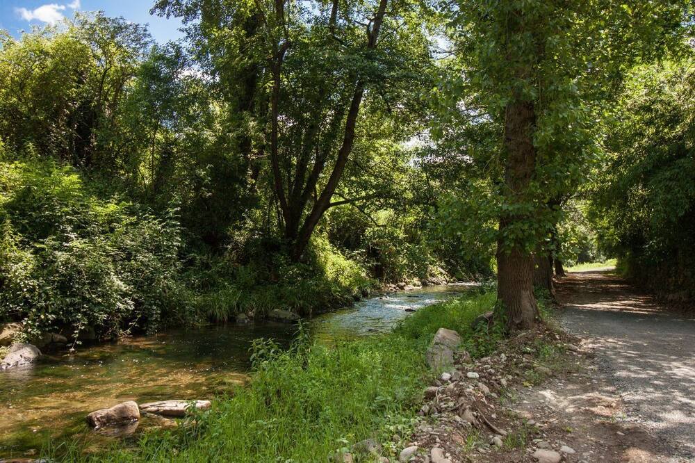 Photo of Outdoor in La Vall de Bianya
