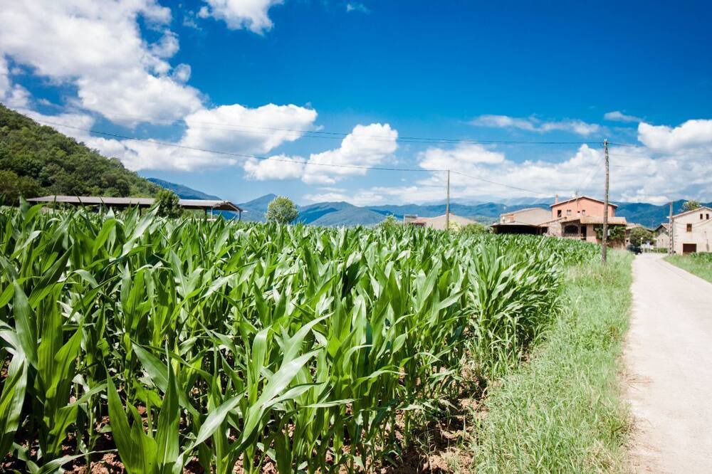Photo of Outdoor in La Vall de Bianya