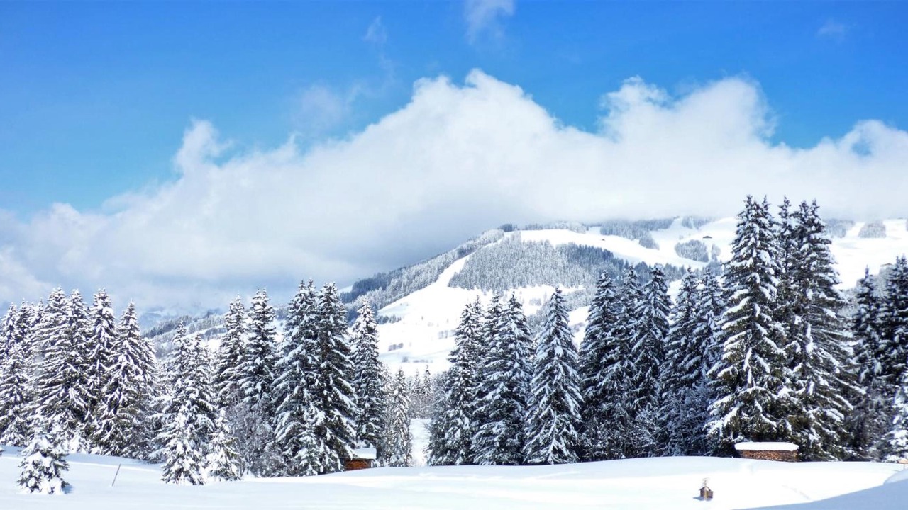 Photo of Others in Megeve