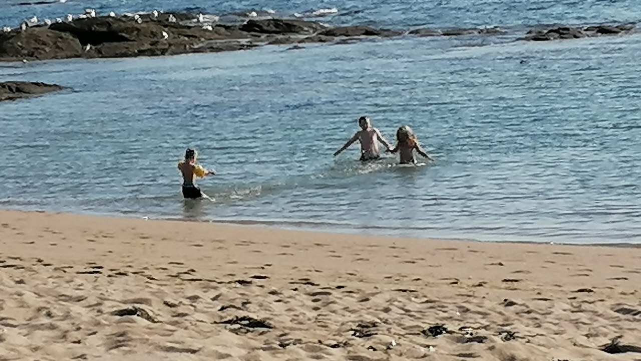 Photo of Others in La Turballe