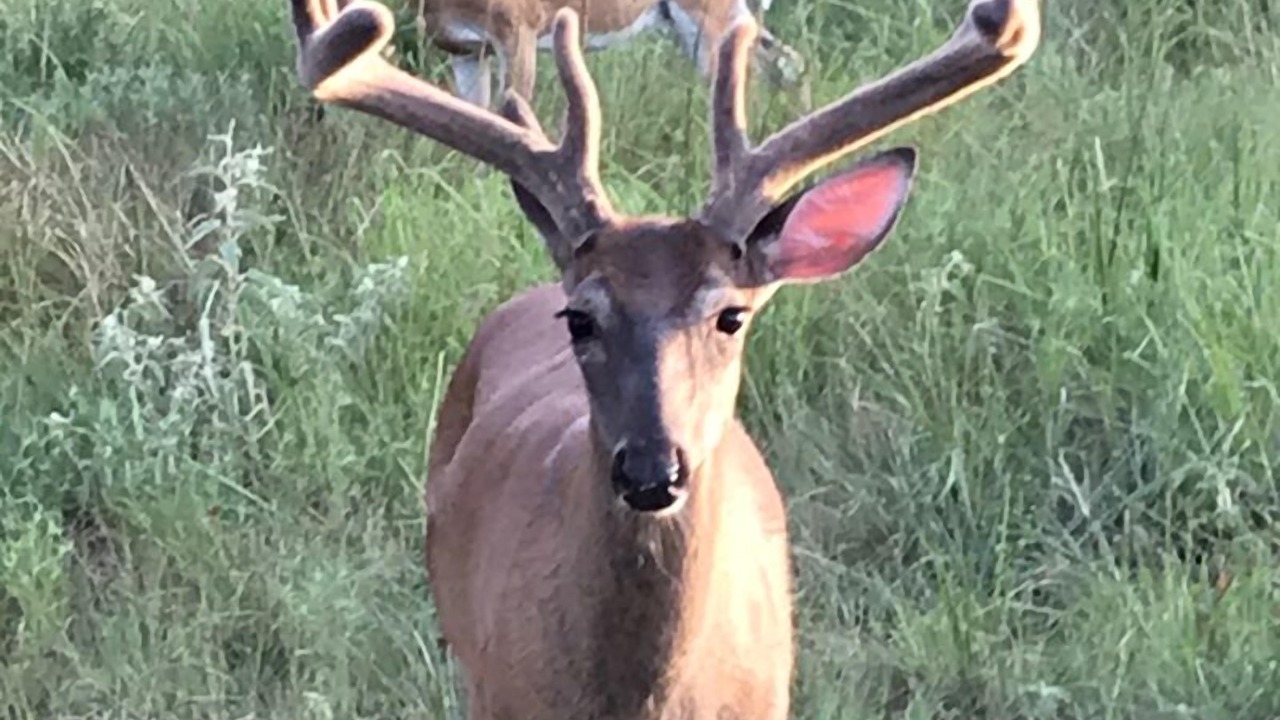 Photo of Outdoor in Gober