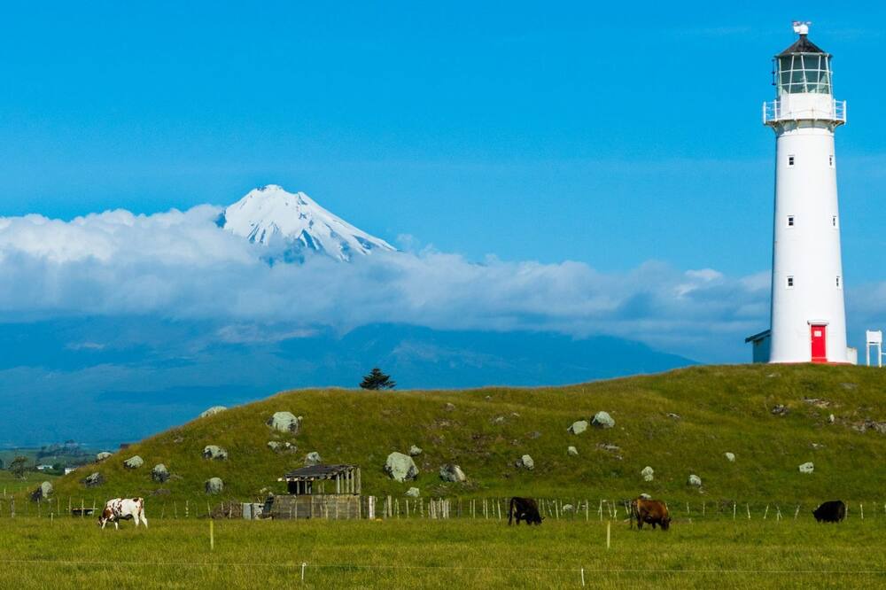 Photo of Others in Warea