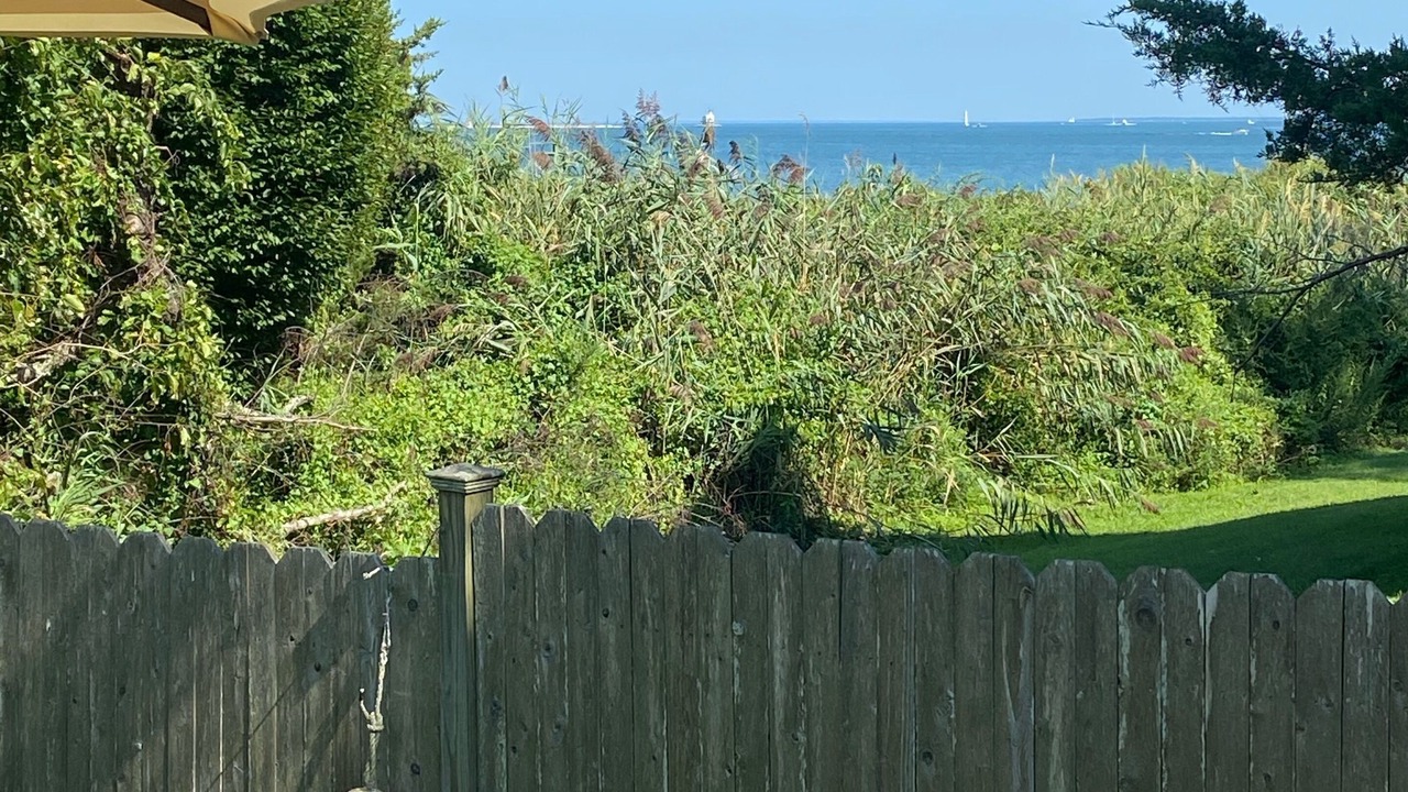Photo of Patio Balcony in East Marion
