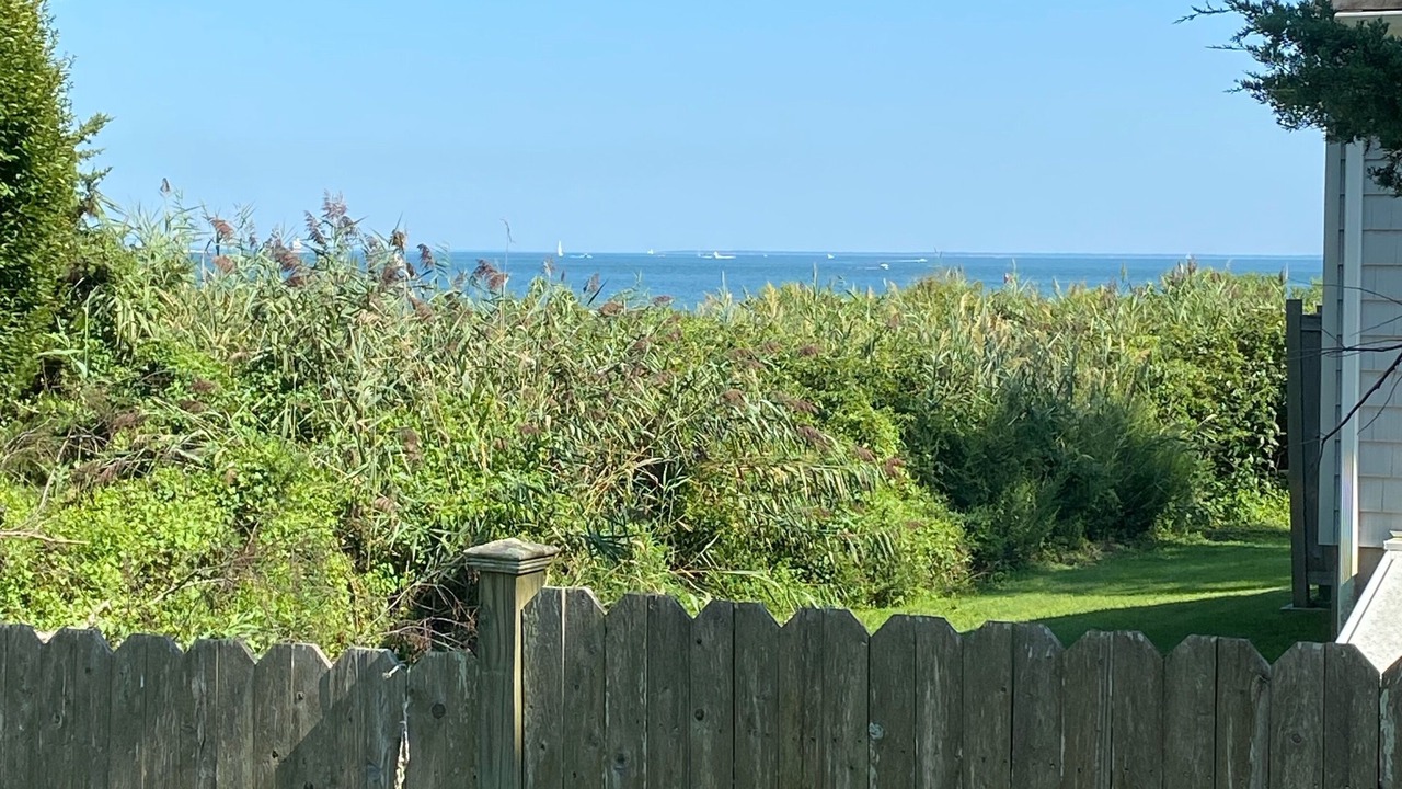 Photo of Others in East Marion