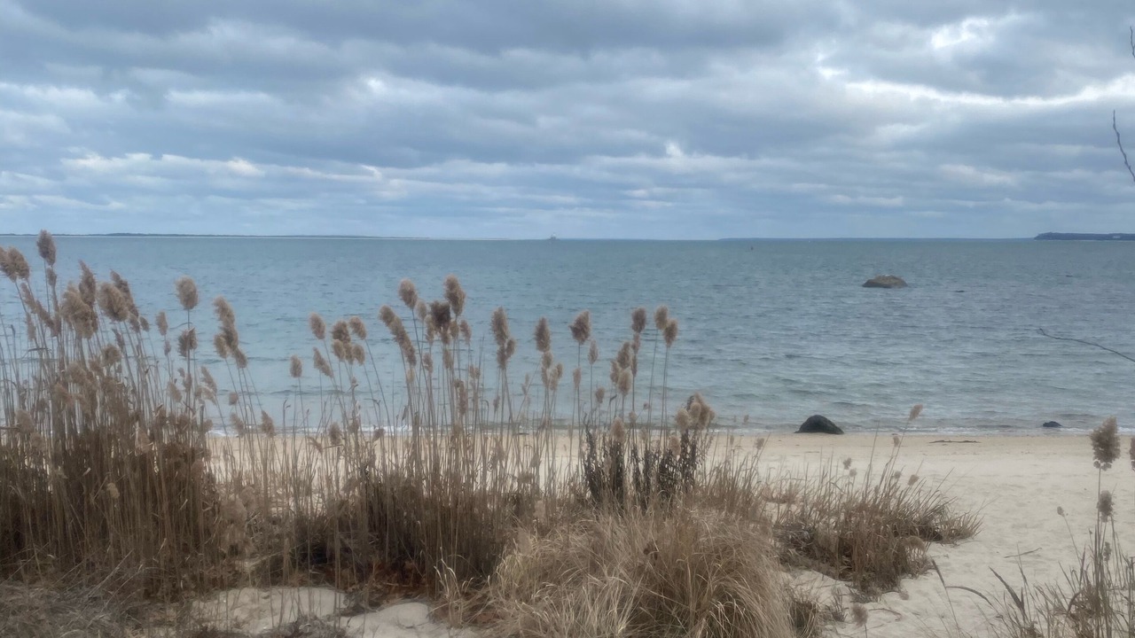 Photo of Others in East Marion