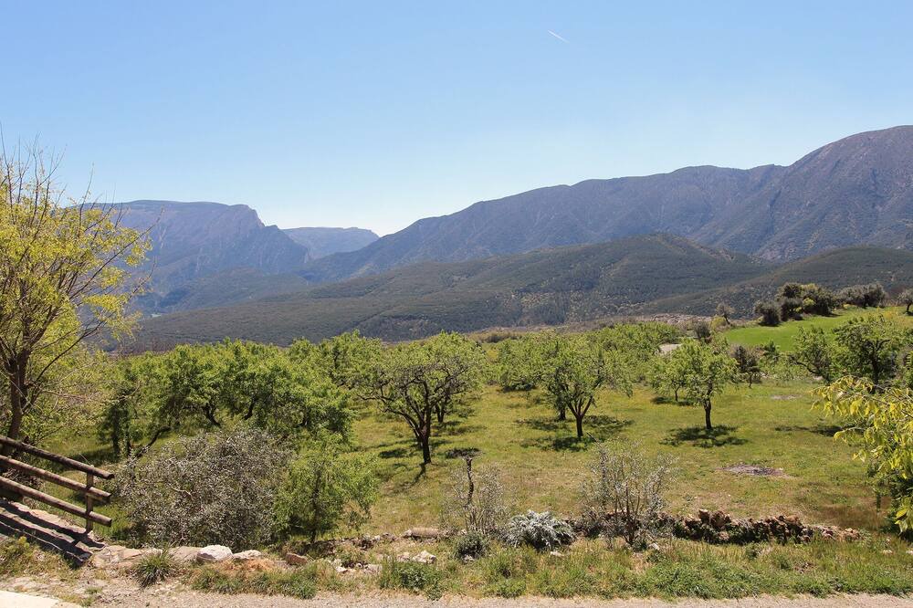 Photo of Outdoor in Sant Esteve de la Sarga