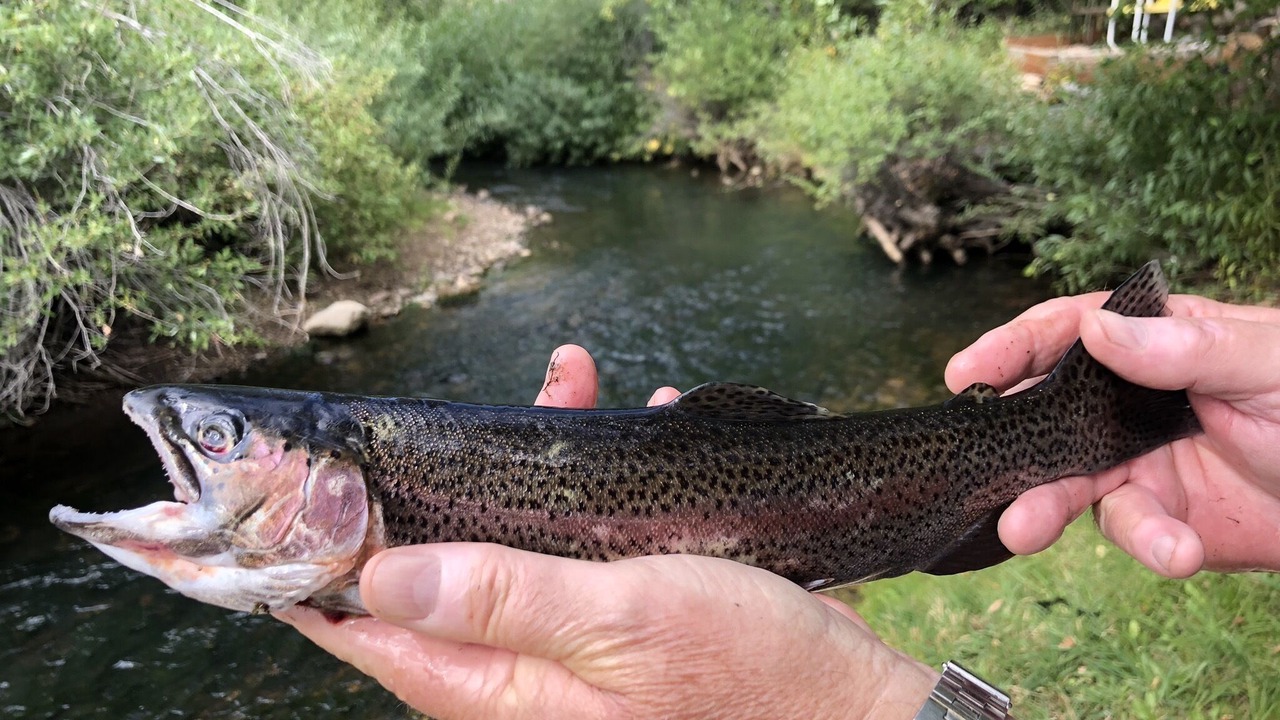 Photo of Outdoor in Samak