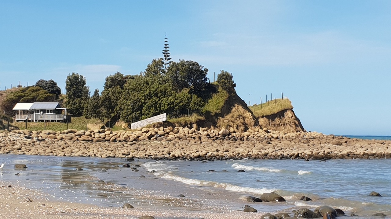 Photo of Others in Mahia