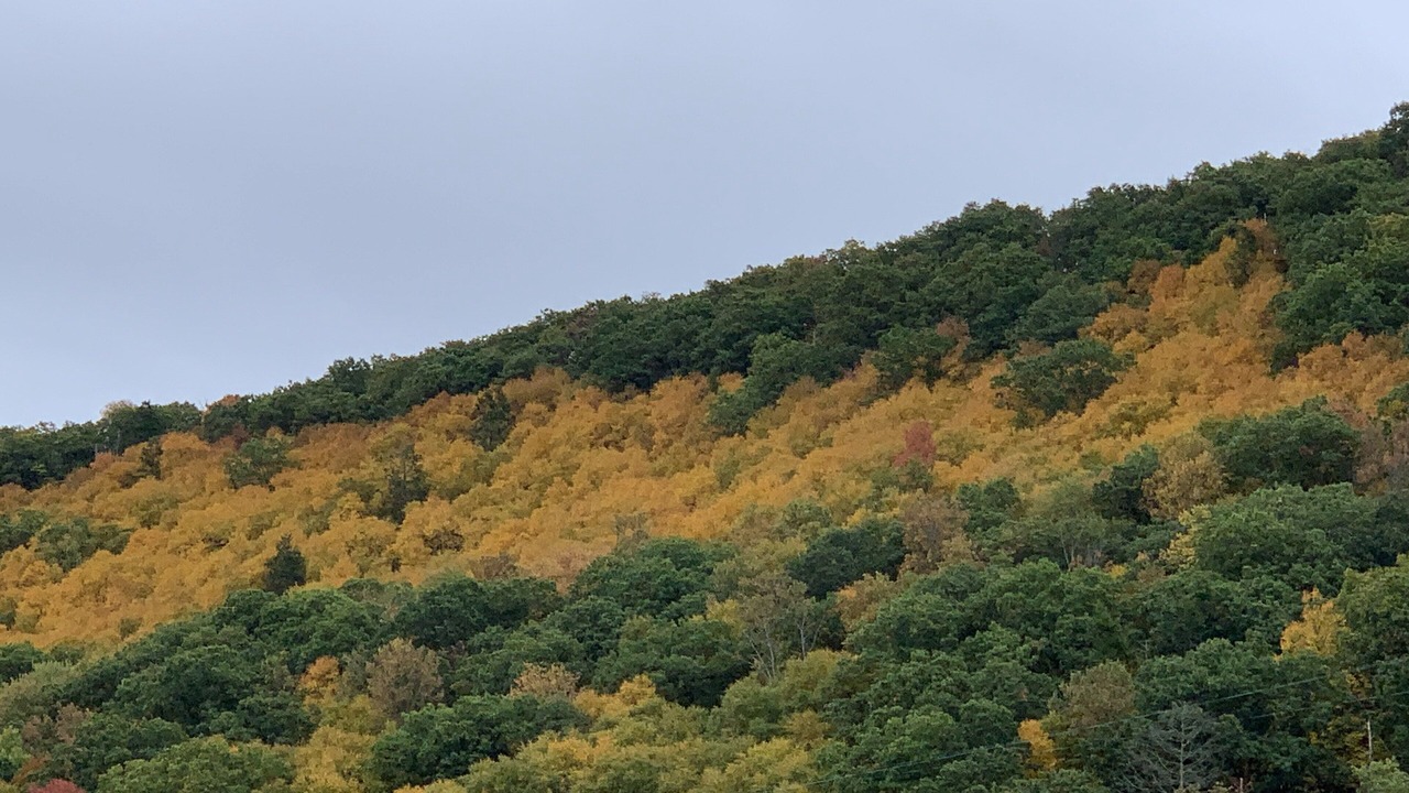 Photo of Outdoor in Woodward