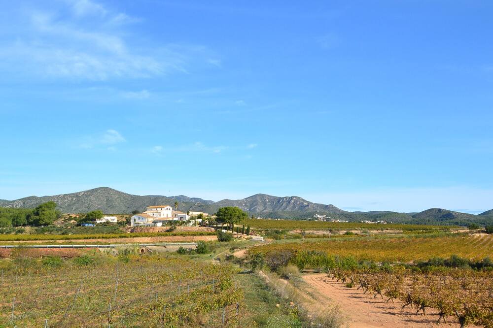 Photo of Others in La Bisbal del Penedes