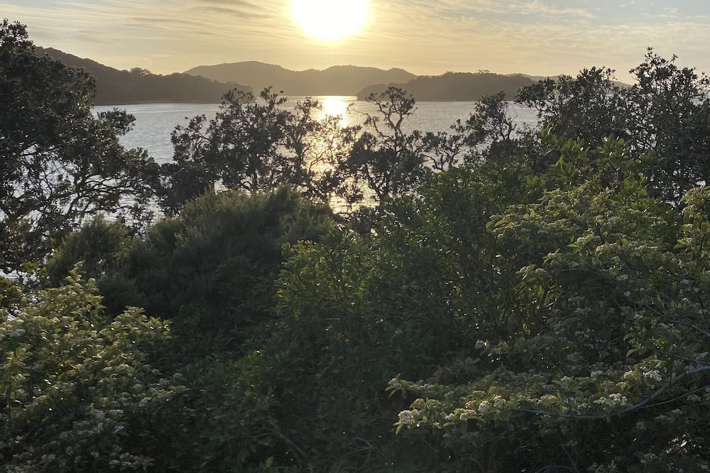 Photo of Others in Whangaruru