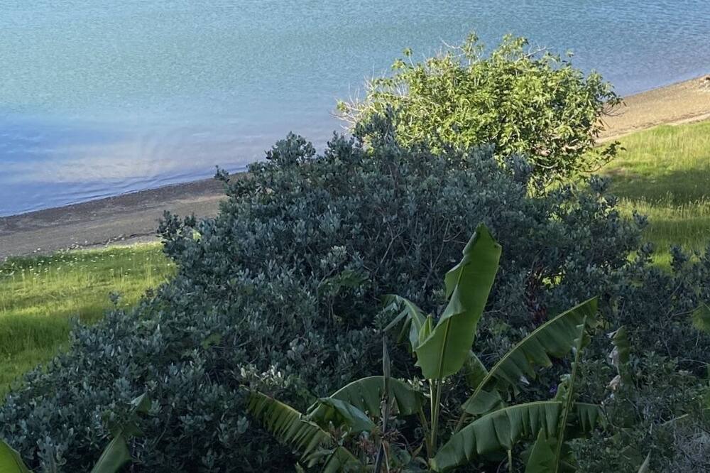 Photo of Others in Whangaruru