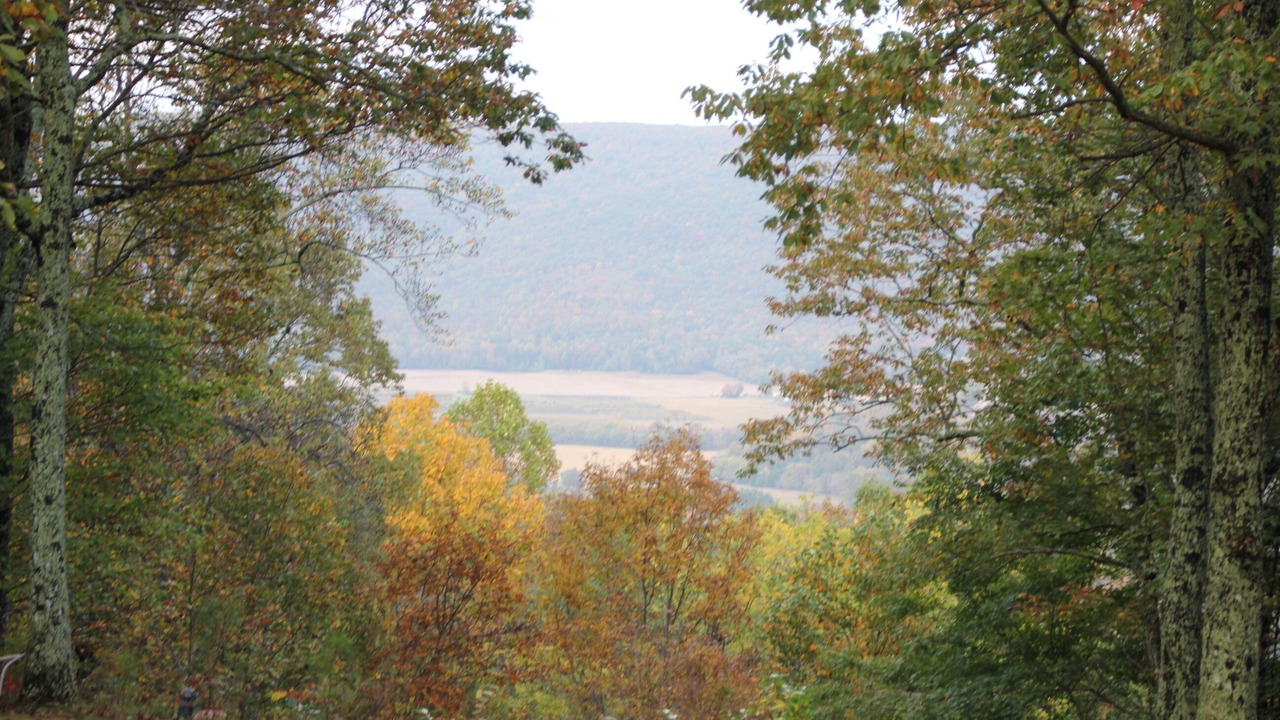 Photo of Outdoor in Morrison