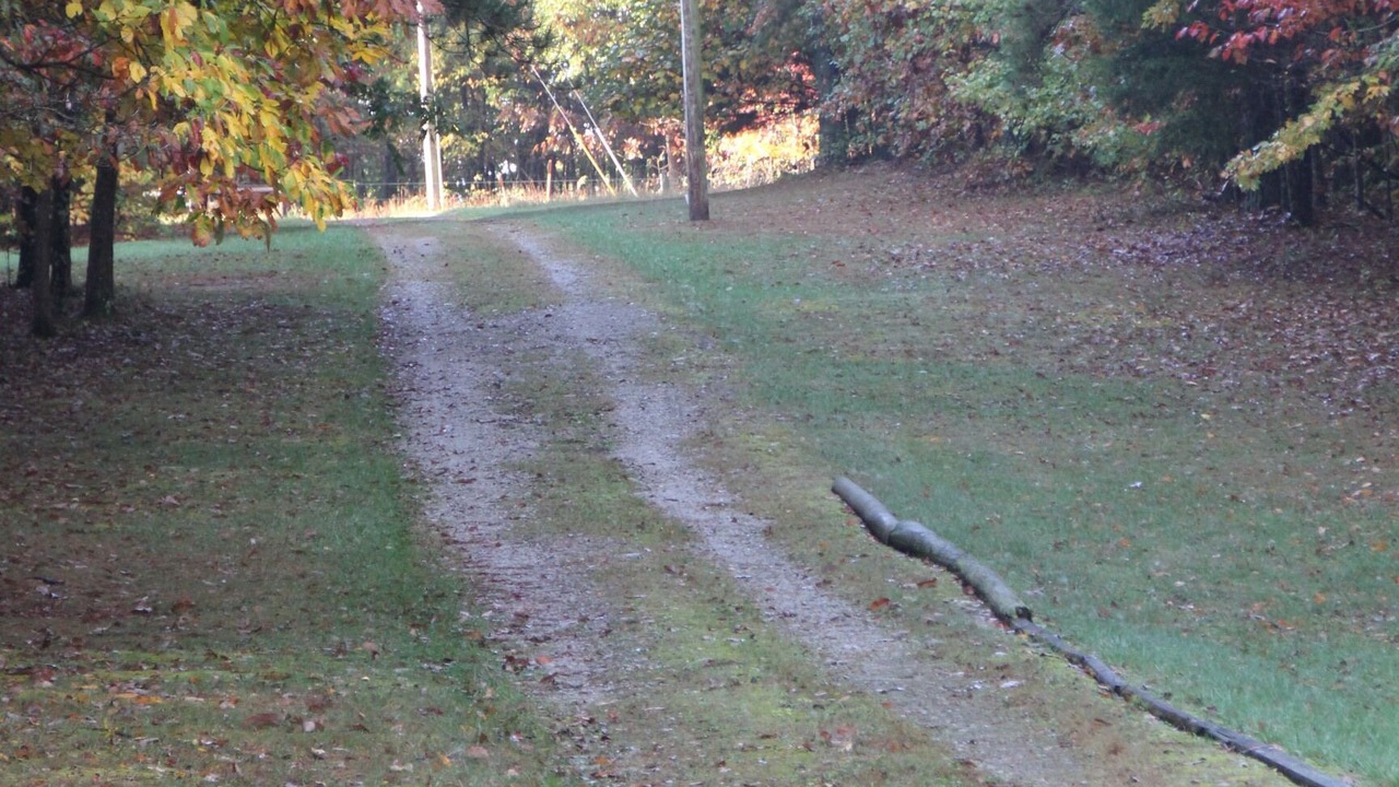 Photo of Outdoor in Morrison