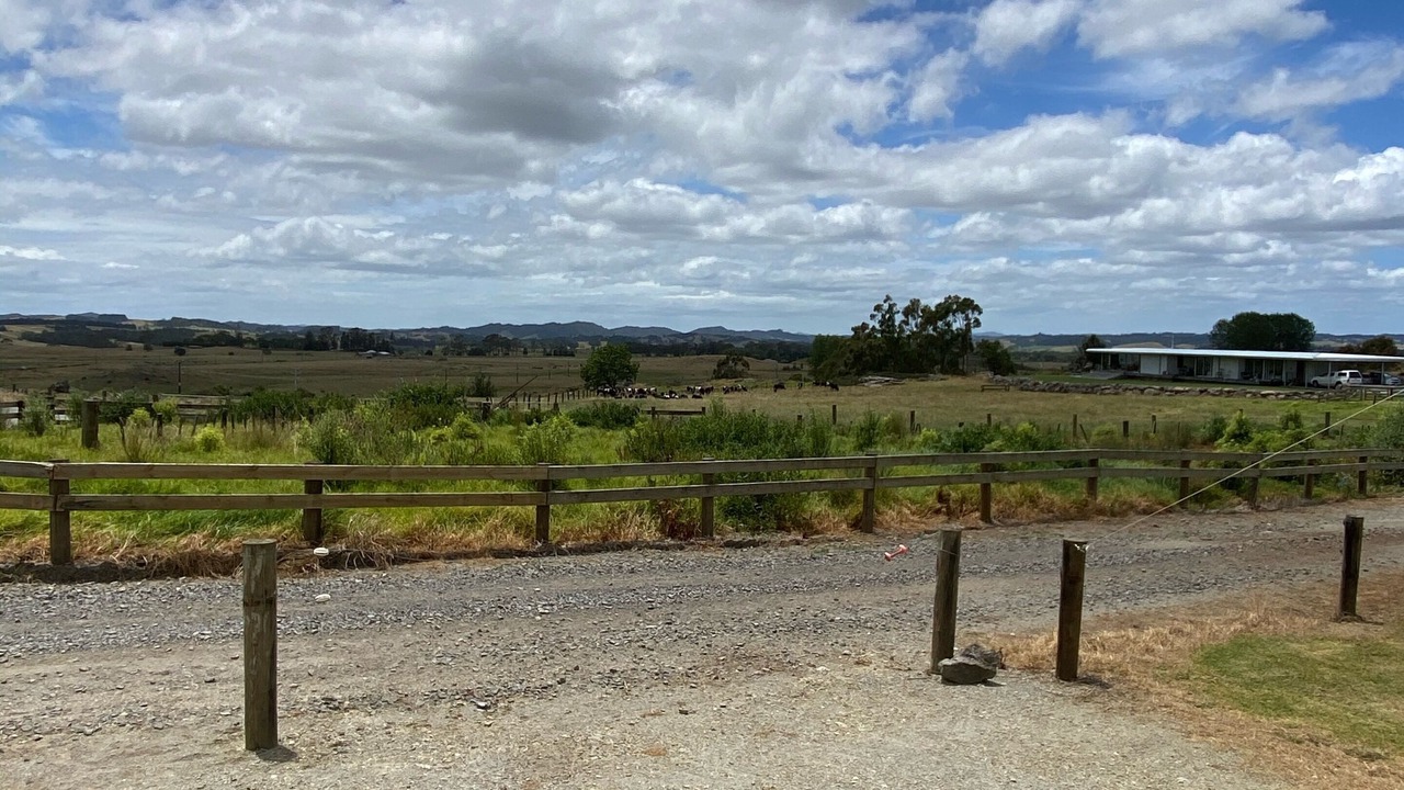 Photo of Outdoor in Ohaeawai