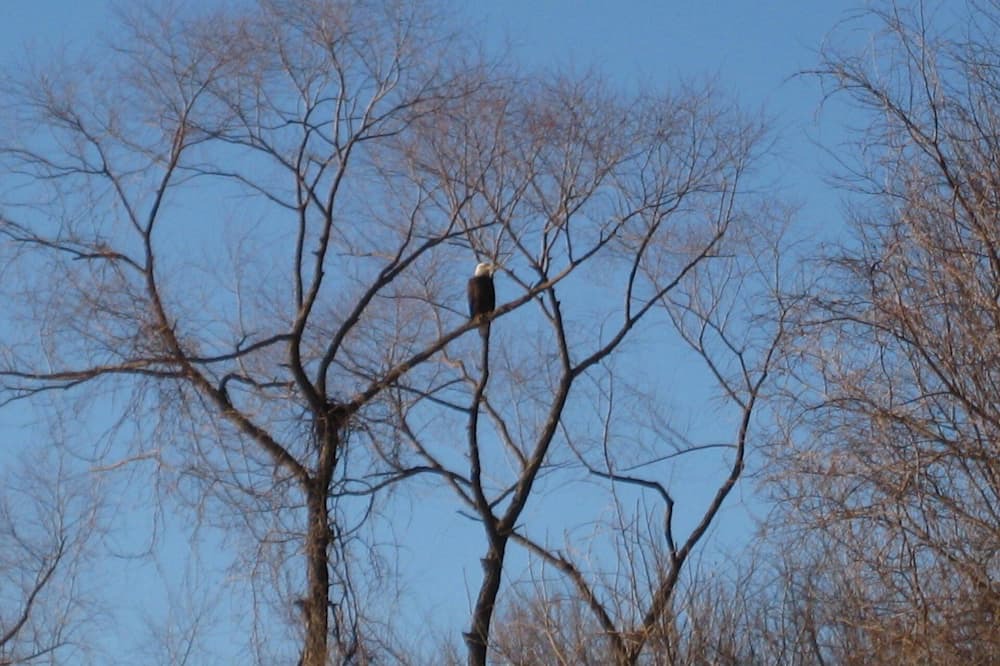 Photo of Others in Elk City