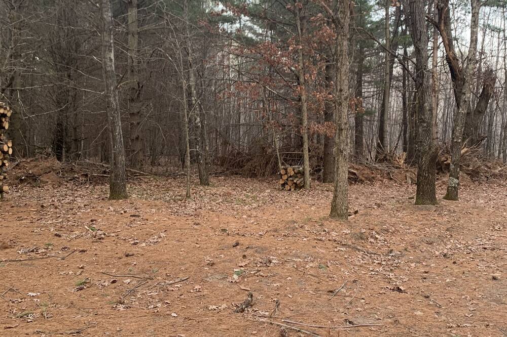 Photo of Others in Webster