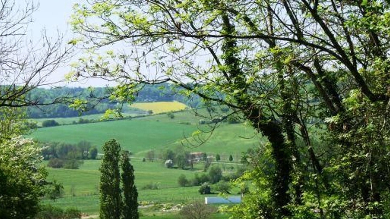 Photo of Others in Loisey