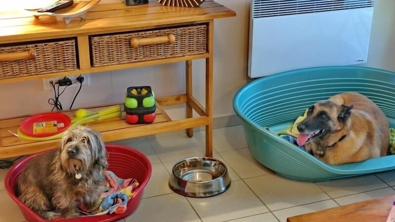 Photo of Others in Loisey