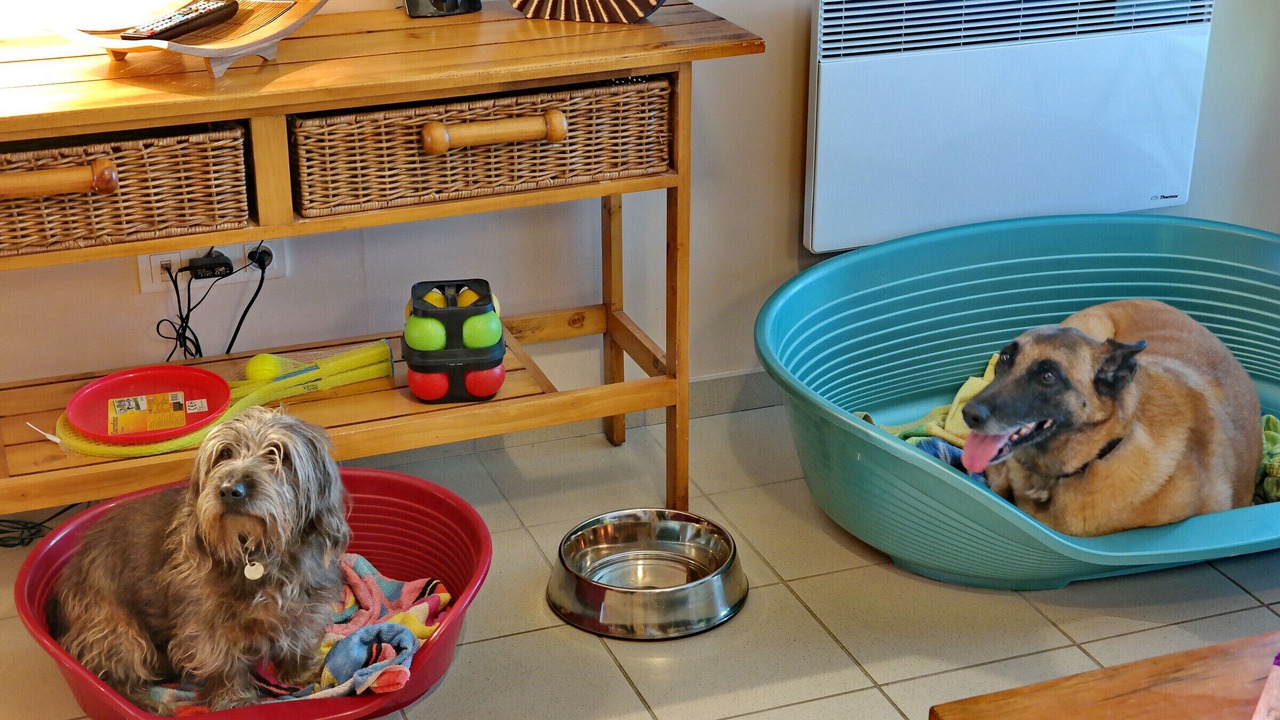 Photo of Others in Loisey