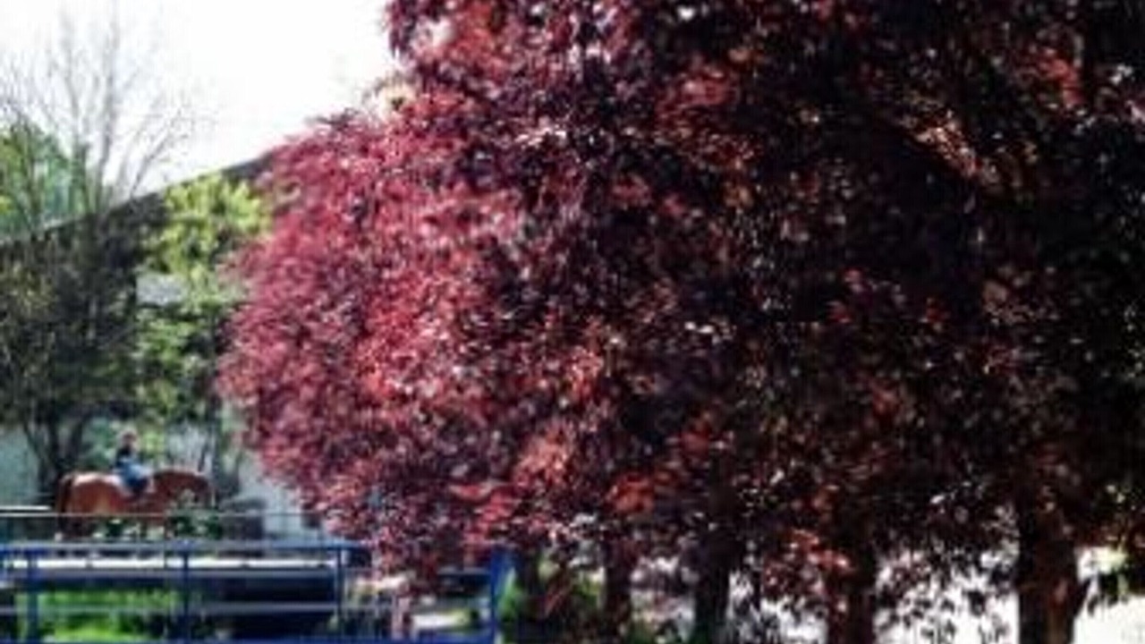 Photo of Outdoor in Loisey