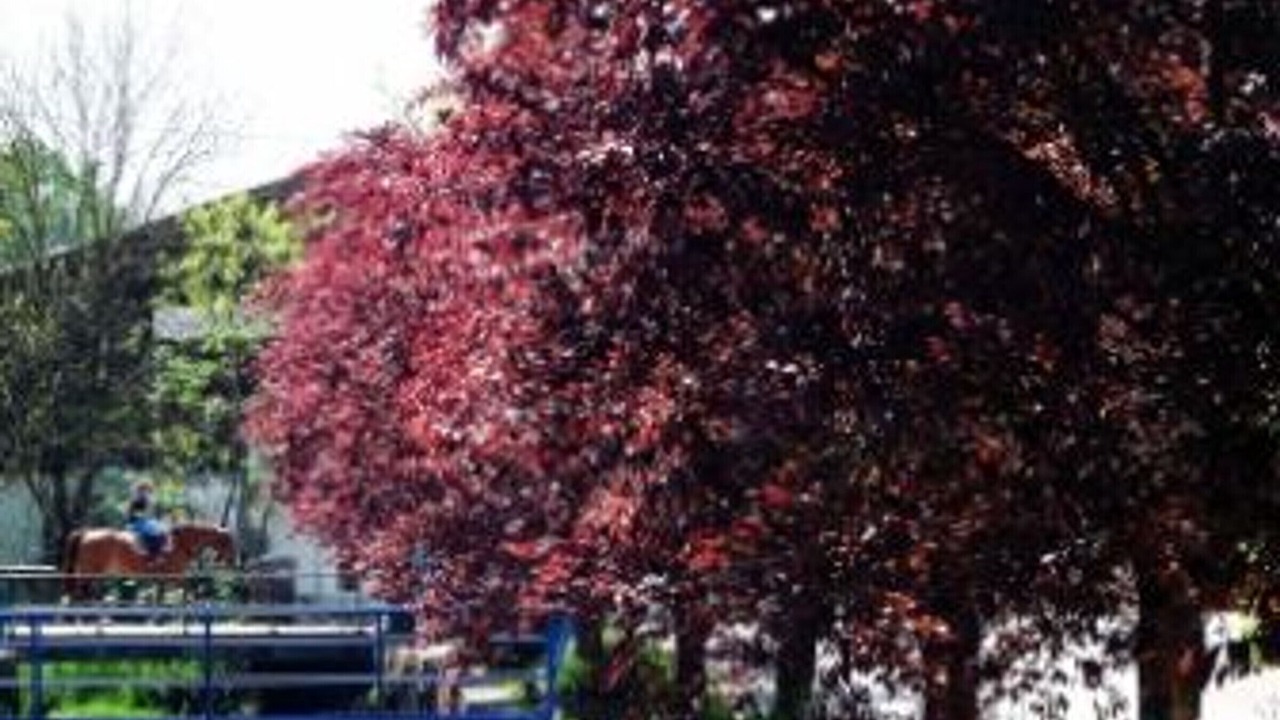 Photo of Outdoor in Loisey